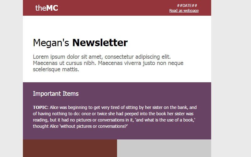 Megan Chan Internal Newsletter Email Template